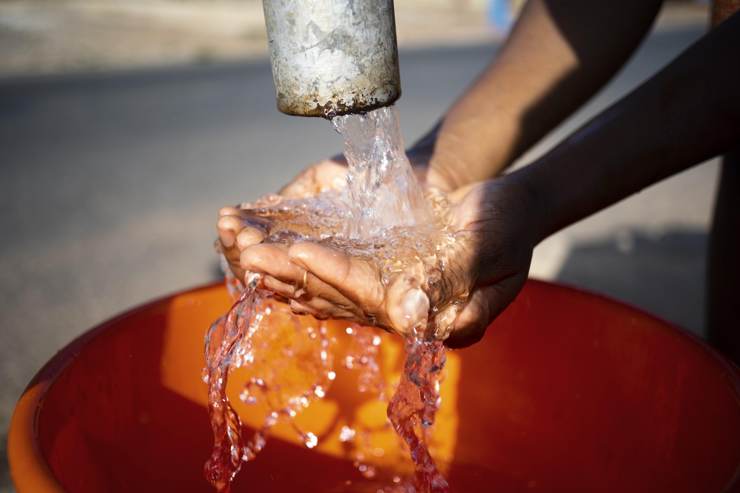 person splashing water while fetching