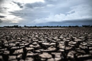 An area with severe drought