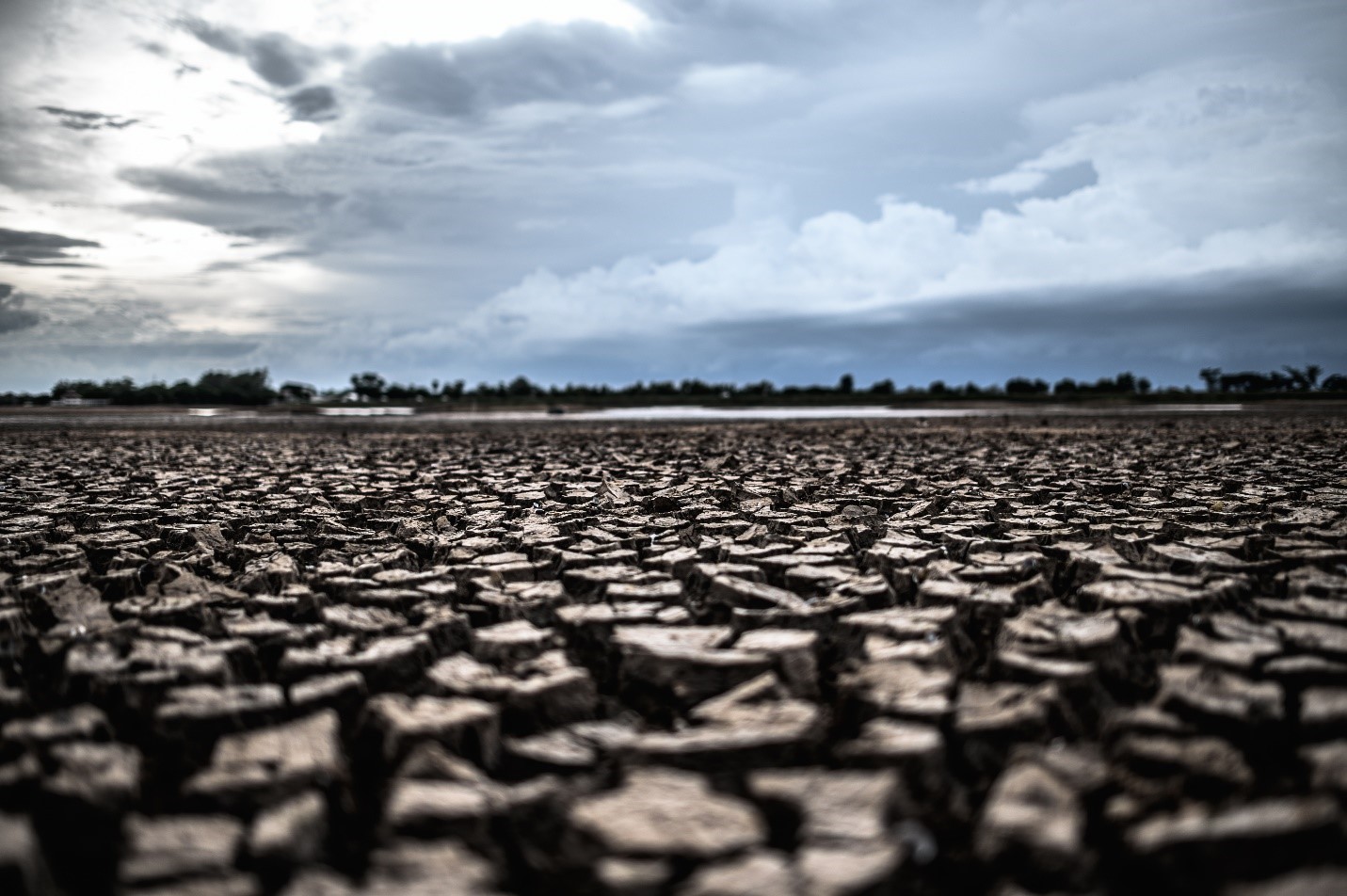 An area with severe drought