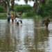 floods in uganda