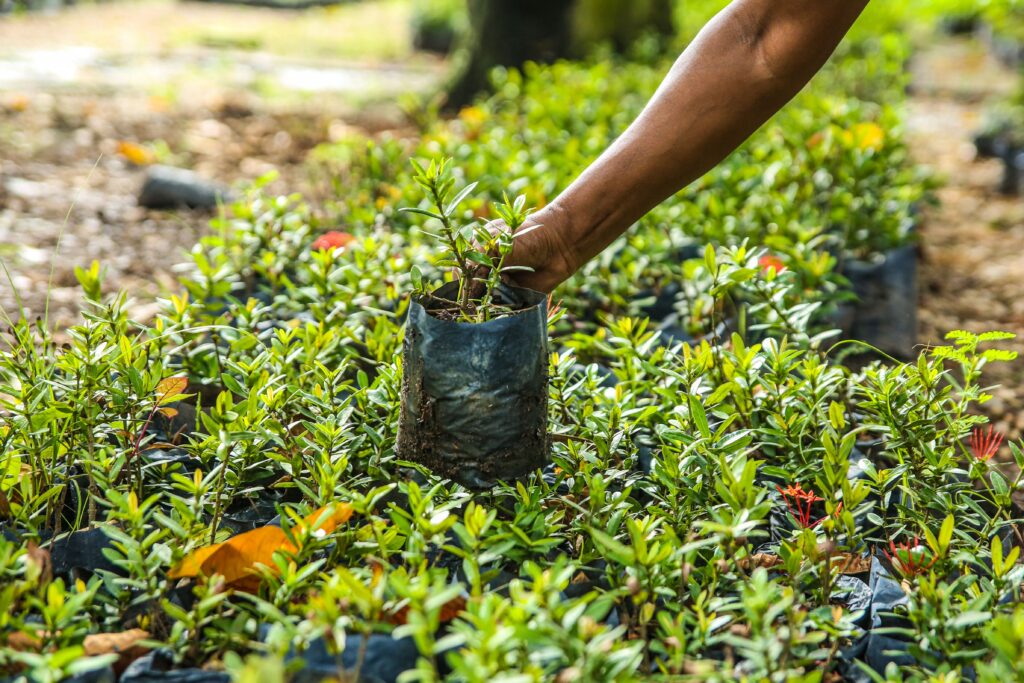 Community-Based Forest Management and Participatory Land Use Planning Training