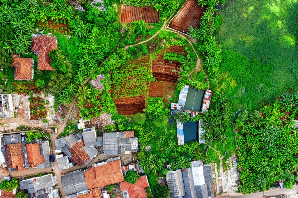 Environmental Impact Assessment (EIA) in Forestry and Land Use Projects Training