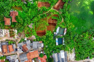 Environmental Impact Assessment (EIA) in Forestry and Land Use Projects Training