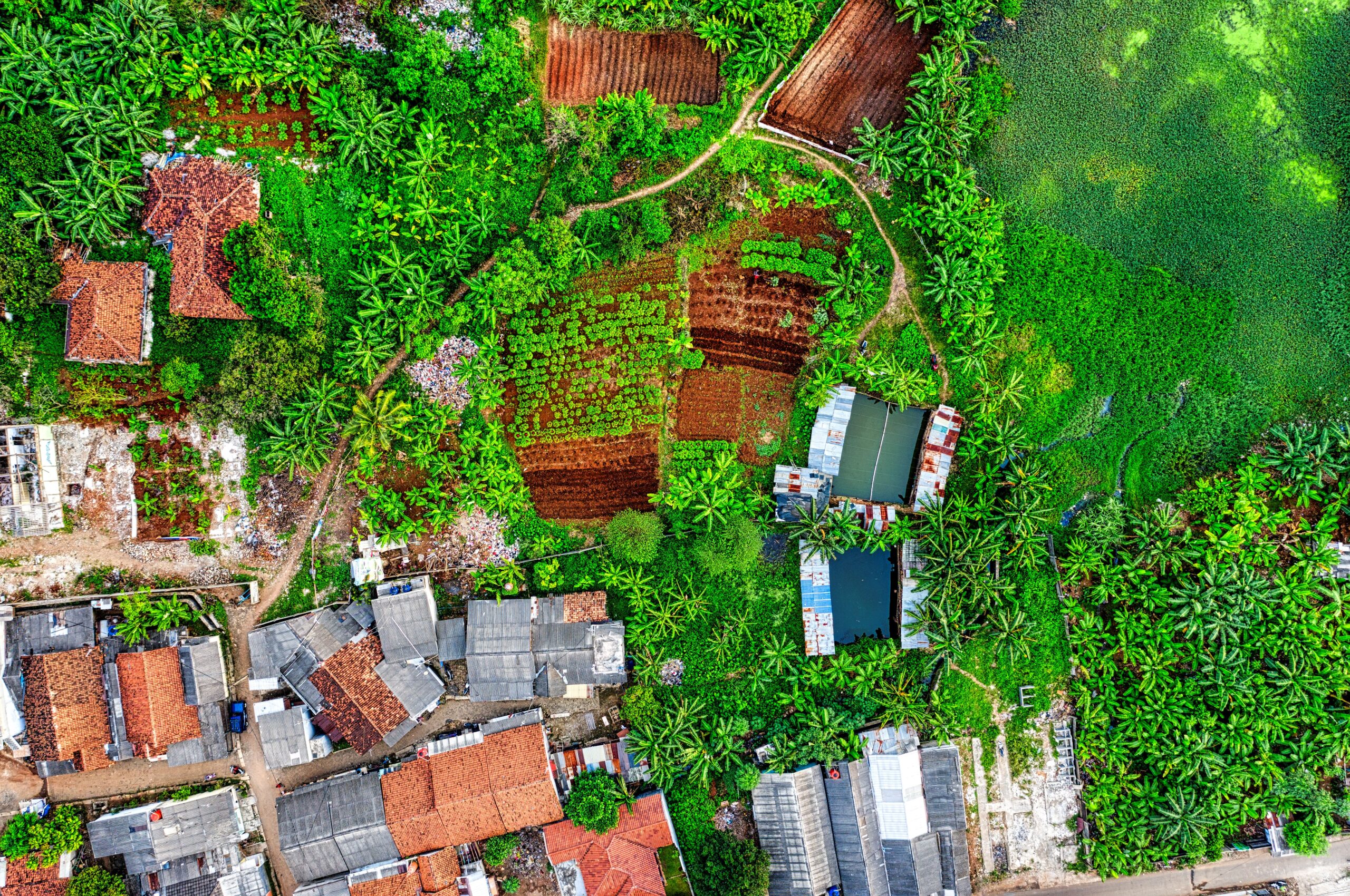 Environmental Impact Assessment (EIA) in Forestry and Land Use Projects Training